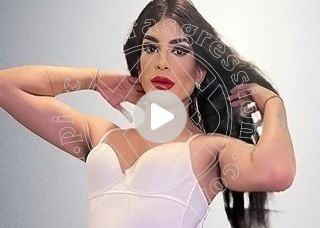 Video trav escort elisa verona